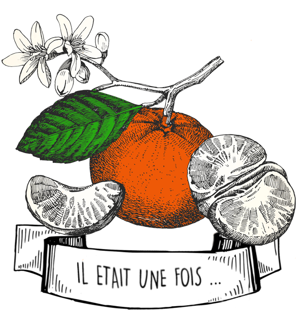 Huile Essentielle d'Orange Douce : le Guide Complet par Olyaris